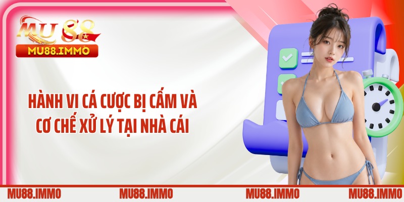 Hành vi cá cược bị cấm và cơ chế xử lý tại nhà cái