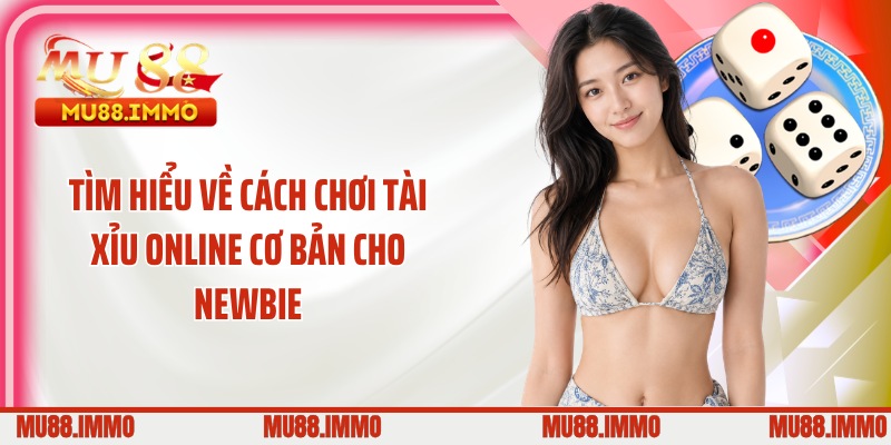 Tìm hiểu về cách chơi tài xỉu online cơ bản cho newbie